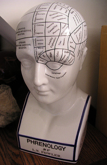 phrenology head